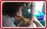 Making a Pot