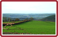 View of the Valleys