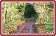 Farm Track